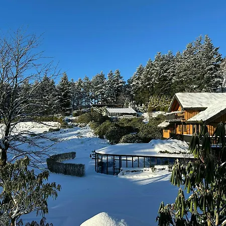 Nyaraló With Rhododendron Garden Near *