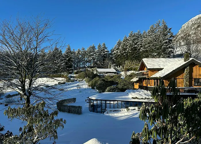 Nyaraló With Rhododendron Garden Near *