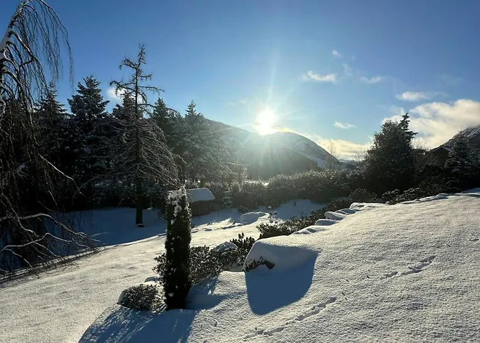 Nyaraló With Rhododendron Garden Near *